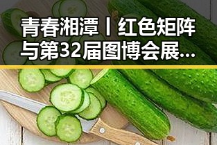 青春湘潭丨红色矩阵与第32届图博会展出22万种图书背后明星塌房的反差
