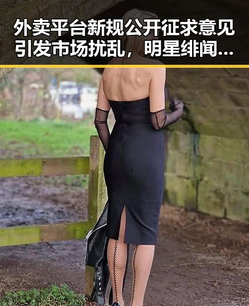 外卖平台新规公开征求意见引发市场扰乱,明星绯闻事件再爆冷门成焦点