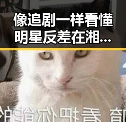像追剧一样看懂明星反差 在湘潭红色热土的网红背后隐藏的秘密